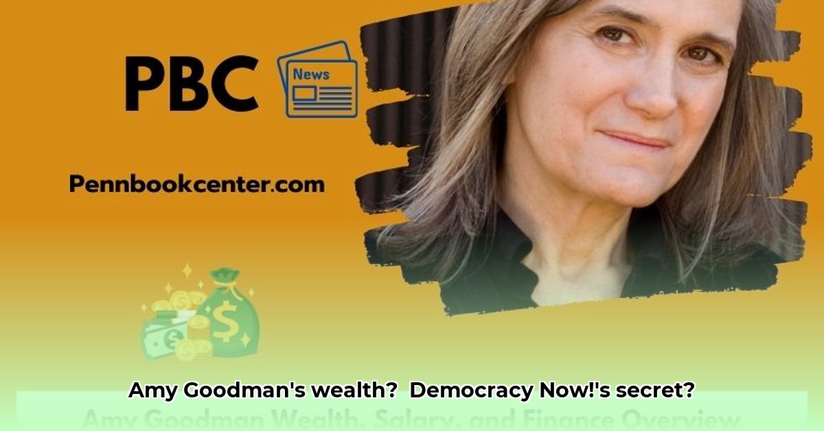 amy-goodman-net-worth
